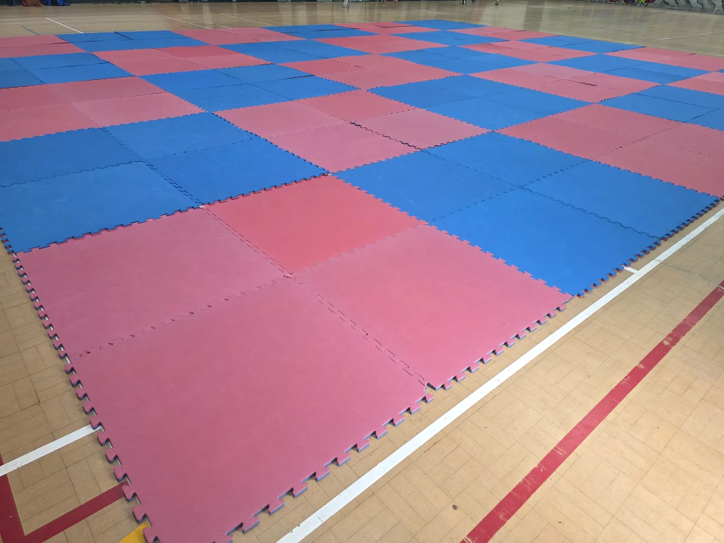 Close view of the red and blue interlocking training mats used at Arklow Taekwon-Do classes