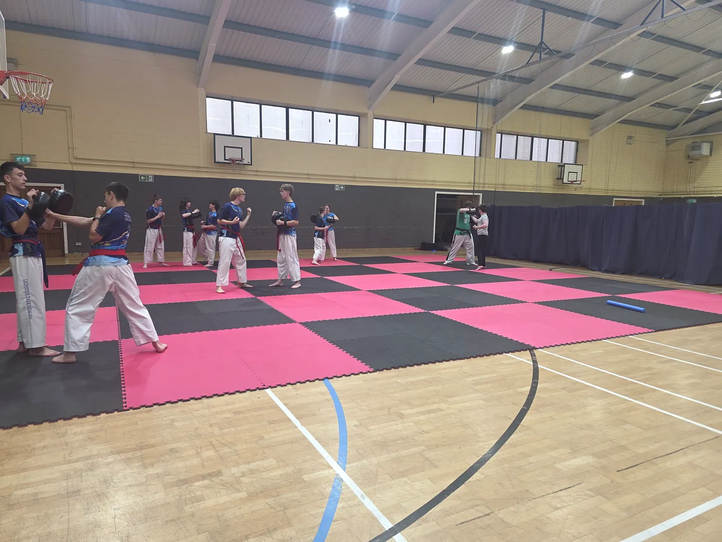 Enniscorthy Taekwon-Do class practising techniques in pairs on the mats