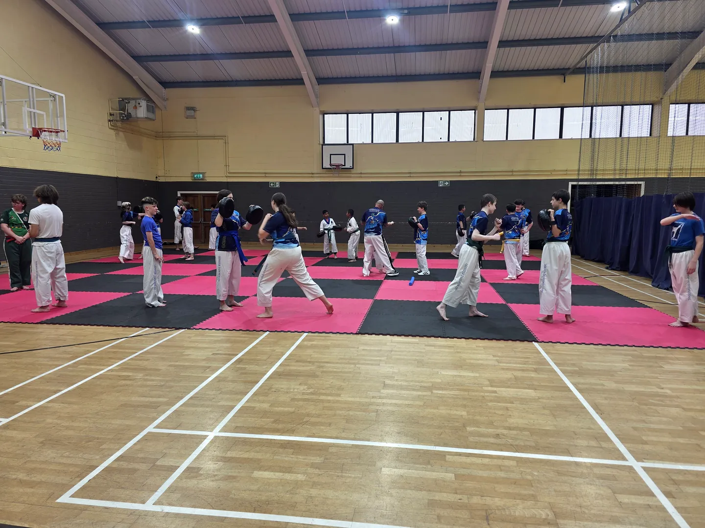 Leinster TaeKwon Do students training together on the mats in Enniscorthy